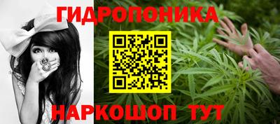 apvp Краснодар