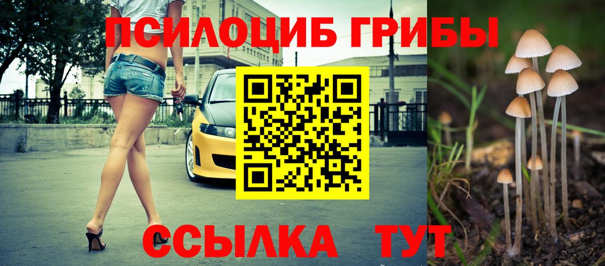 Псилоцибиновые грибы ЛСД Кинель
